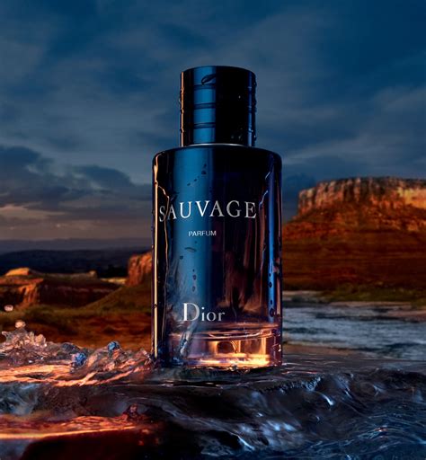 dior sauvage ocena|sauvage dior fragrance.